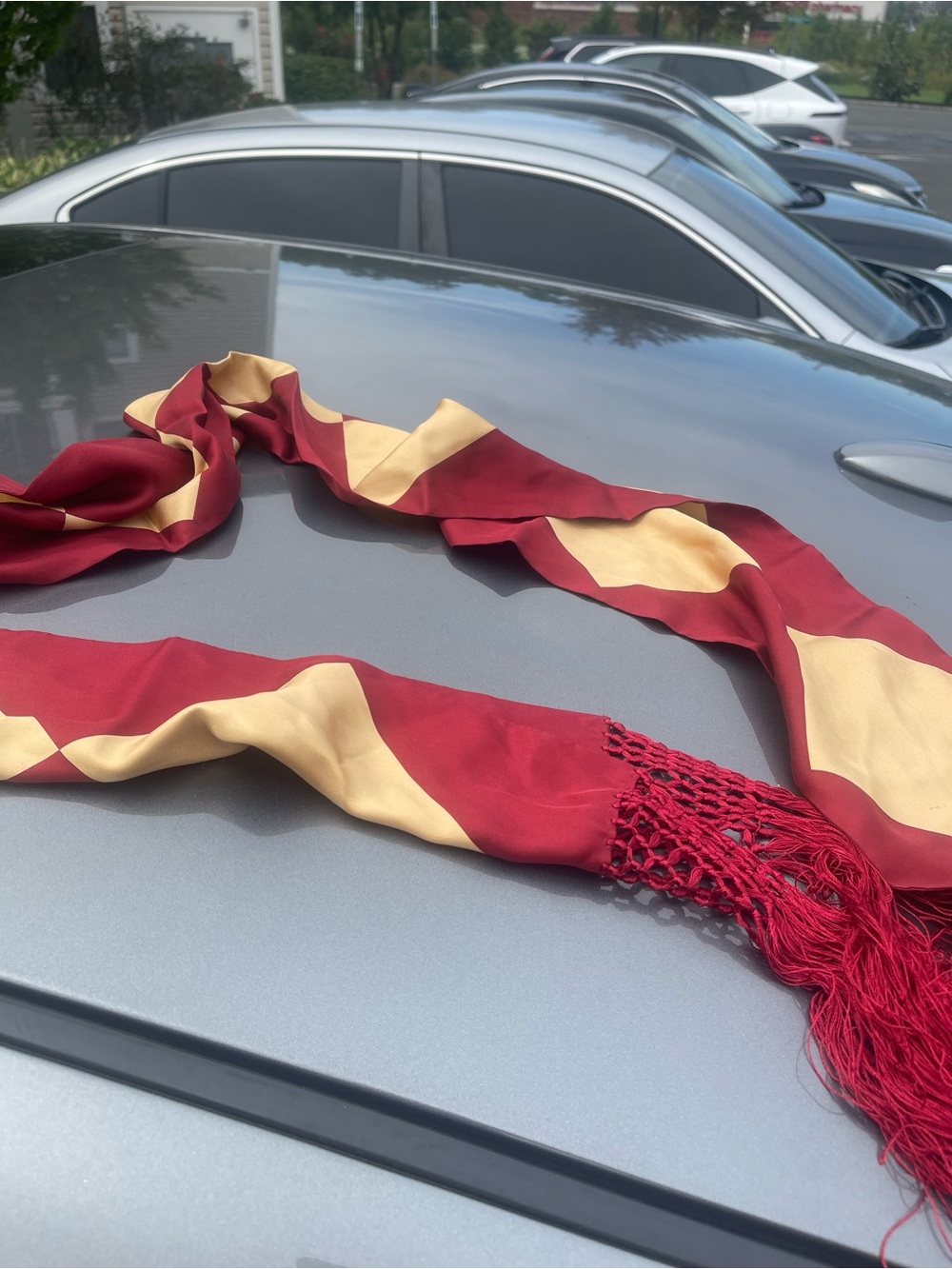 Echo 100% Silk Burgundy and Gold Geometric Decorative Tassel Scarf